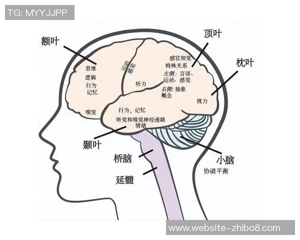 探索奥蓬达的魅力与价值：揭示其在现代社会中的重要性与影响力